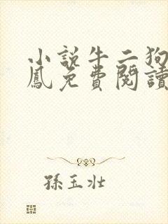 小说牛二狗陈小凤免费阅读