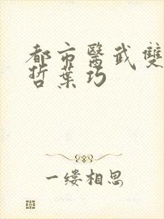 都市医武双修孙哲叶巧