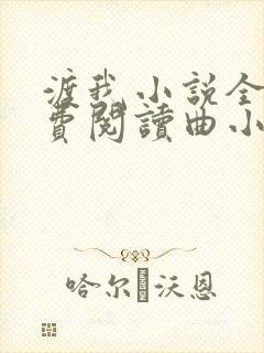渡我小说全文免费阅读曲小蛐封面
