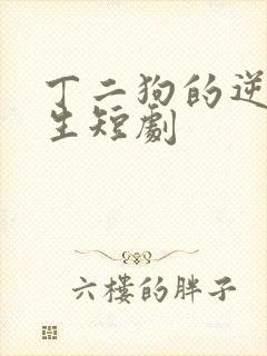 丁二狗的逆袭人生短剧