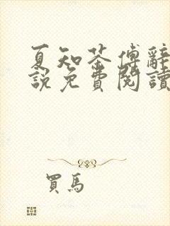 夏知茶傅辞与小说免费阅读