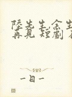 陆先生,余生不再见 短剧 在线观看