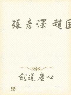 张彦泽 赵匡胤封面