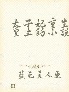 太子妃重生嫁给皇上的小说