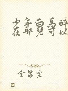 少年白马醉春风在哪儿可以看