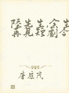 陆先生,余生不再见短剧合集封面