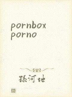 pornboxporno封面