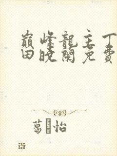 巅峰龙主丁长顺田晓兰免费阅读