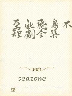 至此飞鸟不相逢短剧全集