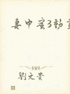 妻中蜜3动画