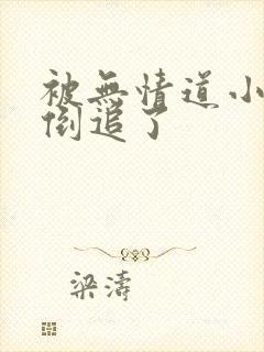 被无情道小师弟倒追了