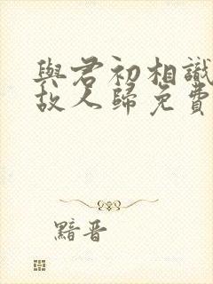 与君初相识犹如故人归免费封面