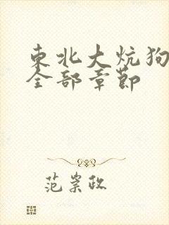 东北大炕狗儿娘全部章节封面