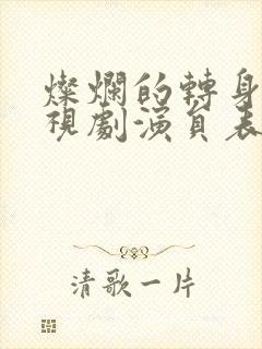 灿烂的转身 电视剧演员表封面