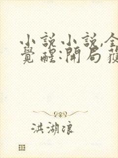 小说小说,全民觉醒:开局获得sss级天赋