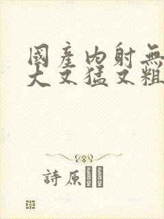 国产内射无套又大又猛又粗封面