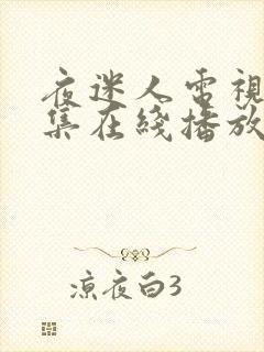 夜迷人电视剧全集在线播放免费观看