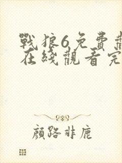 战狼6免费观看在线观看完整高清