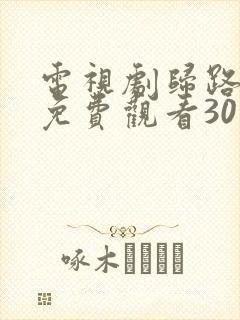 电视剧归路全集免费观看30集完整版