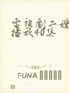 电视剧二嫂全集播放40集