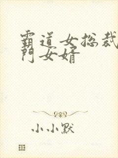 霸道女总裁的上门女婿