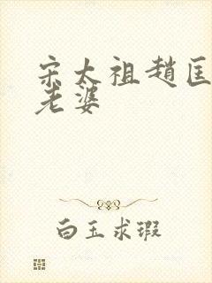 宋太祖赵匡胤的老婆