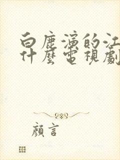 白鹿演的江君是什么电视剧