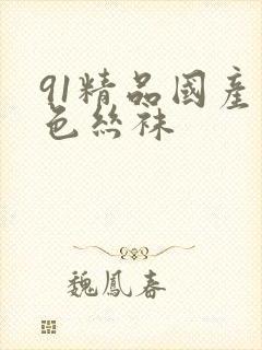 91精品国产黑色丝袜封面