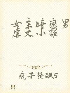 女主暗恋男主的虐文小说封面