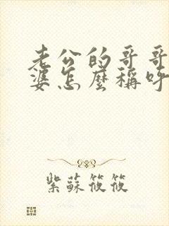 老公的哥哥的老婆怎么称呼