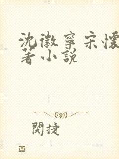 沈徽宁宋怀砚原著小说