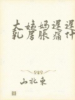 大姨妈迟迟不来乳房胀痛什么原因