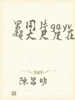 男同片gayv超大尺度在线观看网站