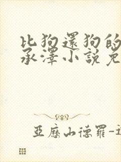 比狗还狗的他魏承泽小说免费阅读