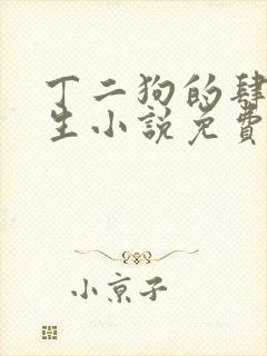 丁二狗的肆意人生小说免费听书