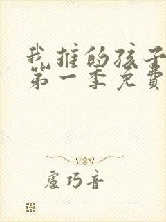 我推的孩子动漫第一季免费观看封面