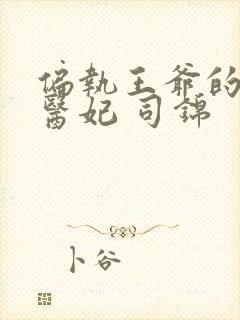 偏执王爷的团宠医妃 司锦封面