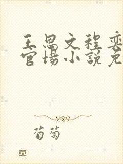 王思文程奕雪的官场小说免费阅读