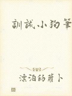 训诫小狗笔趣阁