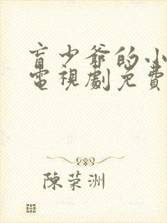 盲少爷的小女仆电视剧免费封面