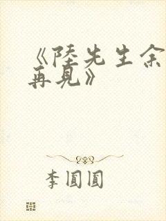 《陆先生余生不再见》封面