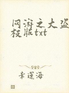 网游之大盗贼精校版txt