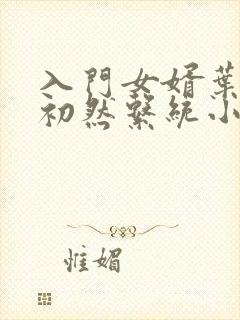 入门女婿叶辰萧初然系统小说