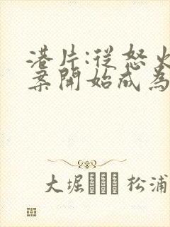 港片:从怒火重案开始成为大亨