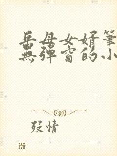 岳母女婿笔趣阁无弹窗的小说