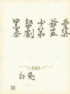 黑帮少爷爱上我泰剧第五集