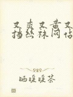 又爽又黄又无遮挡丝袜网站