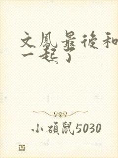 文凤最后和谁在一起了