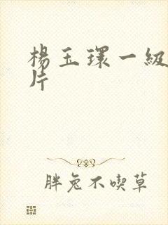 杨玉环一级黄色片封面