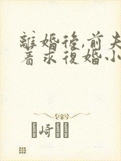 离婚后,前夫哭着求复婚小说全文在线阅读